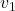 \bm v_1