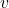 \bm v