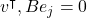 \bm v^\intercal , B\bm e_j = 0